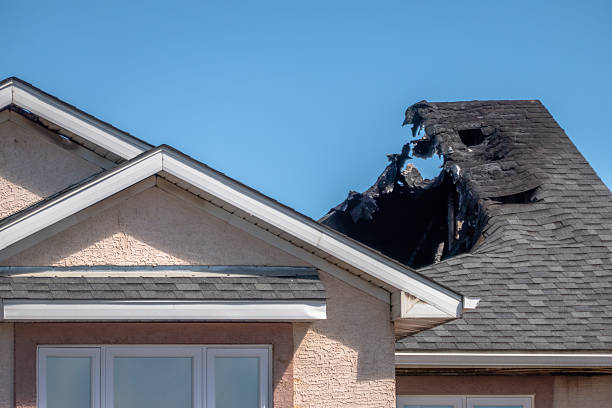 Top rated local Fire Damage Removal specialists in Minneapolis, MN